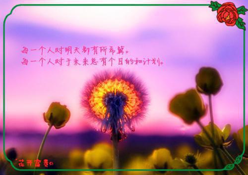 南珠楚彦是什么书 南珠楚彦免费章节在线阅读