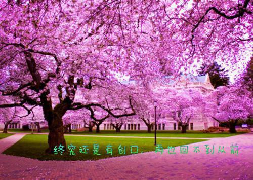 韩明非云栖迟免费 你与我到底是不值一提完整版小说