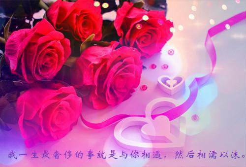 沧溟泠鸢免费阅读目录 沧溟泠鸢小说全文