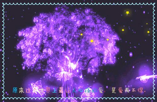 阮雾梨闻砚辞：全文阅读最新章节_阮雾梨闻砚辞：全文阅读