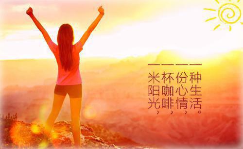 重生之不做营长掌中娇首发小说 叶婉清傅临川在线阅读