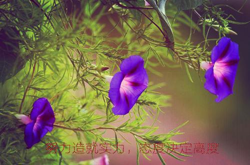 系统带我一周一进度，直接上高速免费阅读 谢伟豪胖虎小说无弹窗