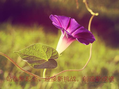沈柏琛阮时微免费小说 沈柏琛阮时微全文阅读目录
