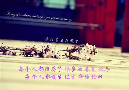 林江李雅丽第8章 林江李雅丽小说免费阅读