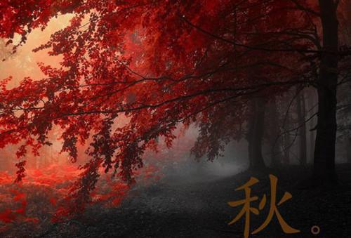 陈仪曾默第2章 陈仪曾默小说免费阅读
