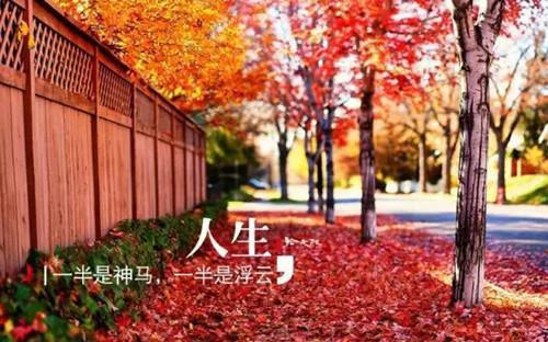 贺言川苏星晚《吃我绝户？掀桌！大小姐回归杀疯》小说在线阅读