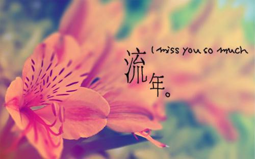 赵浩然陈萍无弹窗 胎停之后，我把闺蜜送我的骨灰项链送给了狗赵浩然陈萍全文免费阅读