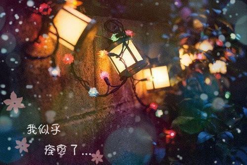 (番外)+(全文)死后十年，帝君向我讨取神莲心救他白月光：全文+大结局+番外（古风薇）完结阅读无弹窗大结局_(古风薇)最新章节列表_笔趣阁（死后十年，帝君向我讨取神莲心救他白月光：全文+大结局+番外）