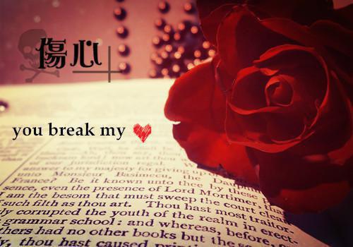 林可卢絮是什么小说 孤独闭免佚名