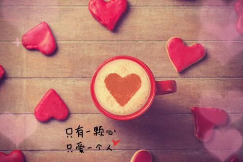 沈昱南蔷小说叫什么名字 沈昱南蔷全文免费阅读