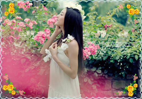 乔莹莹孟峥主角的书 判官笔被偷后，我杀疯了全文阅读免费