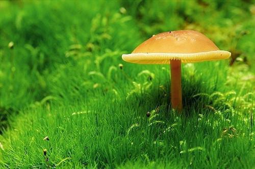 全文浏览你是我未拆的遗书现已上架（裴谨言桑年孟微晴）_你是我未拆的遗书现已上架（裴谨言桑年孟微晴）全文结局
