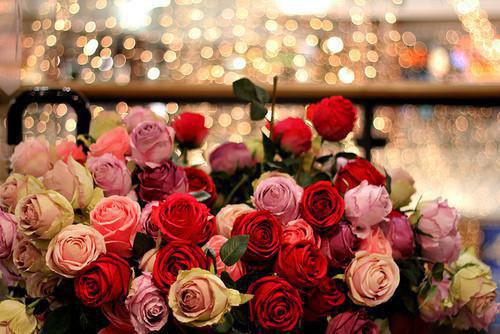 (完整版)林天赐唐雪小说免费阅读无广告