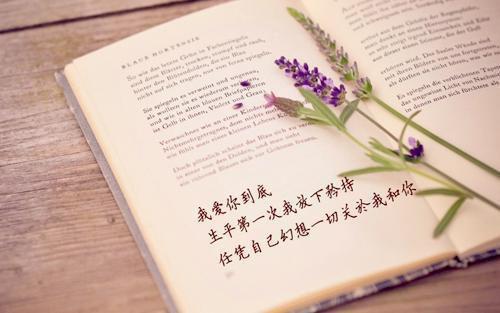 陆辰宋岚全文免费无弹窗 不信人间有白首章节试读