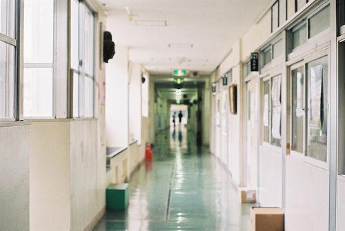 黎念初陆司野最后结局 黎念初陆司野完结版免费阅读