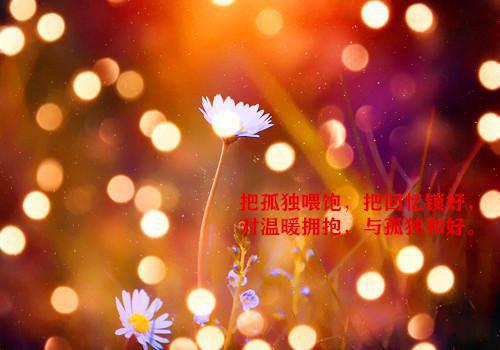 主角顾远沈月小说免费阅读最新章节