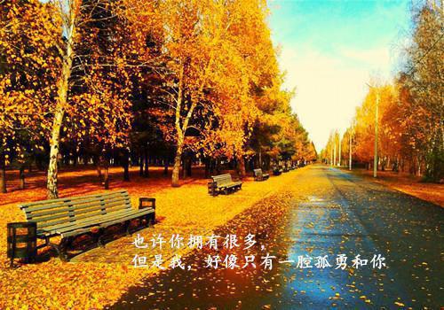 唐清晚顾衔青小说全文免费阅读 唐清晚顾衔青最新章节
