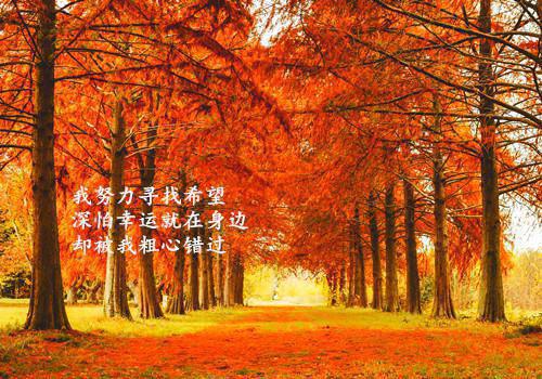 被雷劈恢复记忆后，杀我全蛇族的苗疆少主疯了顾宴沈妍完结小说全文在线阅读