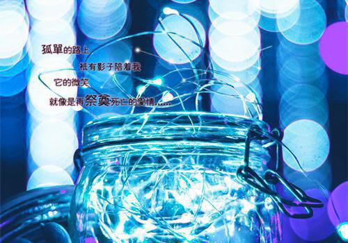 周舟秦芳小说全文免费阅读 周舟秦芳最新章节