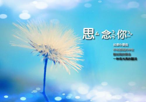 主角是唐栖雾靳沉野的小说免费阅读全文大结局