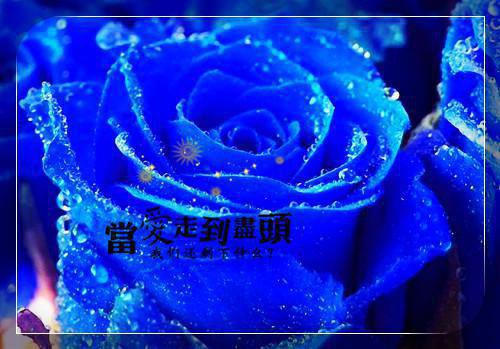 方时悦江奕最新篇章 结婚前一天，女友和男同学在婚房练手全本免费阅读