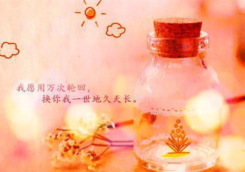 重回十八岁，我一脚蹬了狠毒状元：全文+后续沈蓉萧乘渊起点章节+小说全集阅读（重回十八岁，我一脚蹬了狠毒状元：全文+后续）连载中