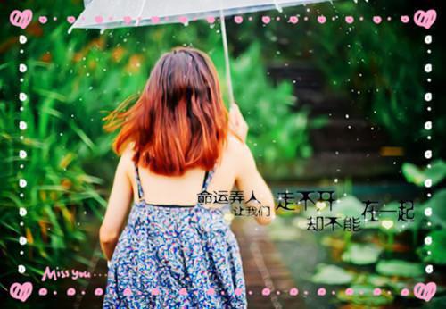 林知夏顾言深是什么书 林知夏顾言深免费章节在线阅读
