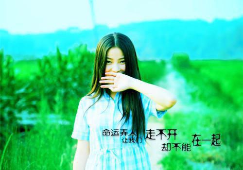 钟晚意宋文瑾免费小说 钟晚意宋文瑾全文阅读目录