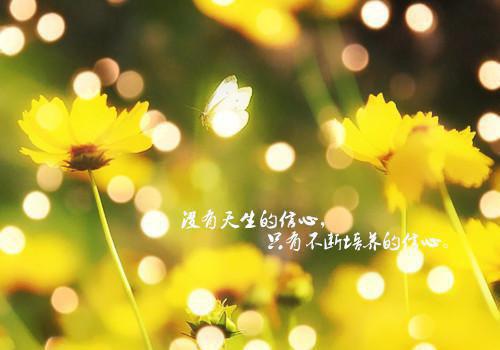 春节男友要和干妹妹做七天情侣首发小说 许念琪赵遇川在线阅读