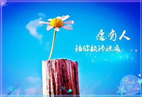 穿书八零：文工团大美人是真千金江荛程煜川小说在线免费阅读(大结局)