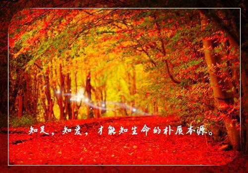 柳云云赵昱强免费小说 柳云云赵昱强全文阅读目录