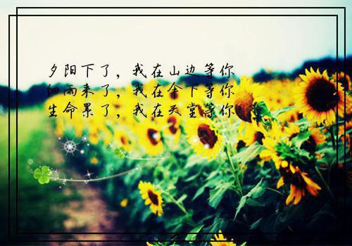 婆婆是个甩锅侠：+结局+番外最新章节列表_婆婆是个甩锅侠：+结局+番外全文免费阅读(赵萌周安徐媛媛)