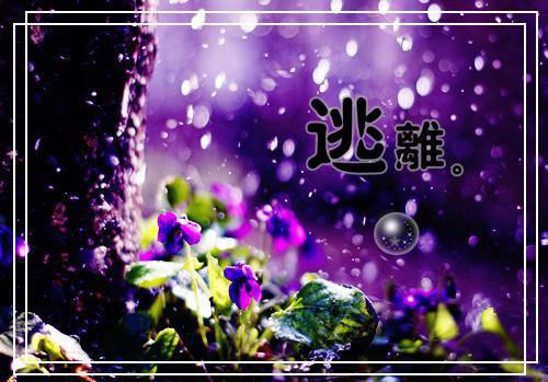 沈若云盛玘安的故事 成婚第十年，我决定成全丈夫和穿越女：全章节+番外章节阅读