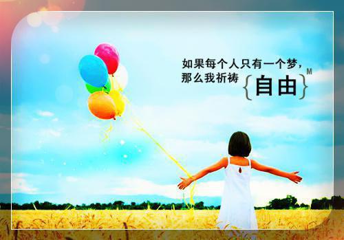 沈落初陆凉川小说叫什么 沈落初陆凉川小说全文免费阅读