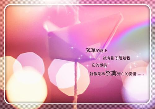 温知漾陆之川结局是什么 温知漾陆之川免费阅读全文