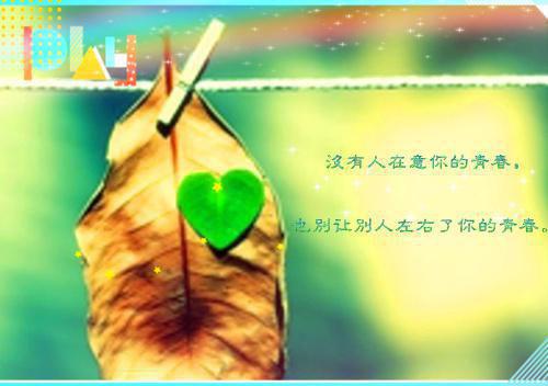 萧珏沈明昭慕容峥小说在线阅读 萧珏沈明昭慕容峥最新章节目录
