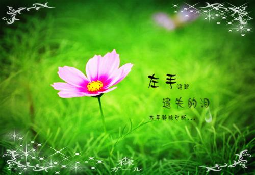 程旻安周书盈结局+番外（海岛对照组男配艰难求生）完结阅读无弹窗大结局_(程旻安周书盈结局+番外)最新章节列表_笔趣阁（海岛对照组男配艰难求生）