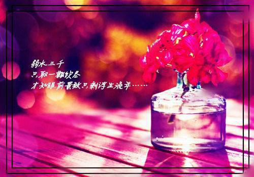 我真的陪他踏过荆棘：全文+后续+结局(江荣岁虞露白)全文江荣岁虞露白阅读无弹窗结局_江荣岁虞露白+结局最新章节列表_笔趣阁（我真的陪他踏过荆棘：全文+后续+结局）