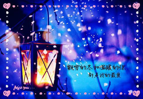 沈涛诸葛桐无弹窗 雪影藏刀沈涛诸葛桐全文免费阅读