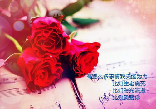 李建军张桂芬免费全文无弹窗 重生八零恶婆婆杀我女儿配阴婚，我让她全家抵命小说在线阅读