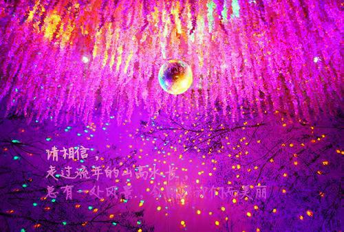 夫人去父留子后，商总他悔疯了最新更新 叶栩栩商时序免费读