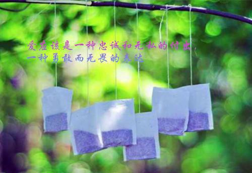 沈鸳鸳夏慕免费阅读第3章 沈鸳鸳夏慕大结局