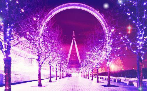 沈梨宋京臣免费阅读小说 沈梨宋京臣第三章