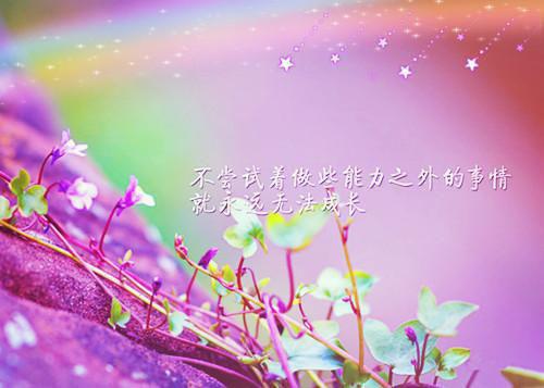 她是瘾后续更新全文阅读（宋听晚盛京御）最新章节_她是瘾后续更新全文阅读