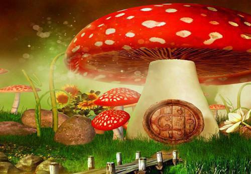 交际花舍友霸占我的朋友圈：大结局+番外无弹窗阅读 苏珊邬黎裴曦小说