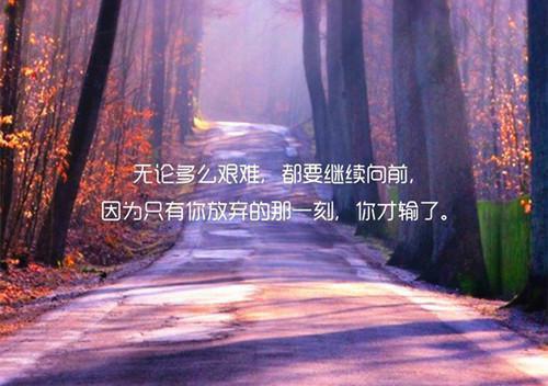 主角是林修远陆泽的小说免费阅读全文大结局