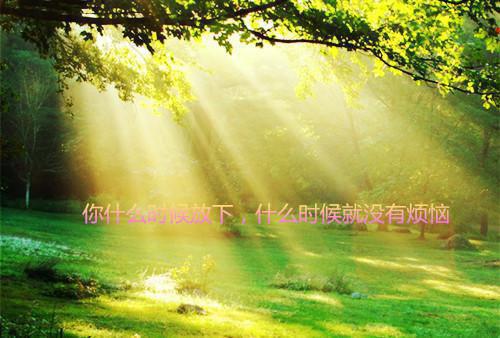 沈知意傅昀霆哪里可以看 沈知意傅昀霆免费阅读第四章