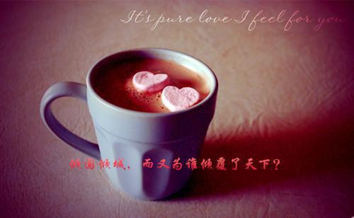 月色蚀骨忆成霜秦彦 阮清梦秦彦小说