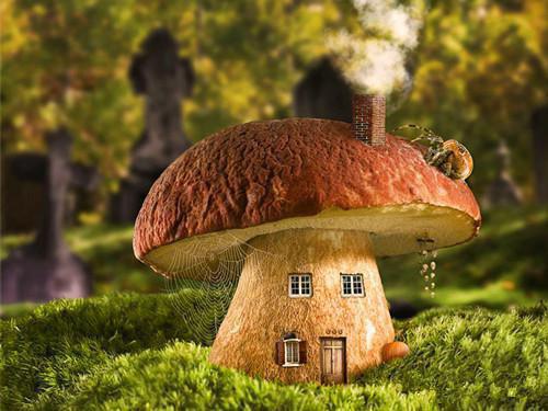 柳子安文翔小说章节目录 柳子安文翔免费阅读