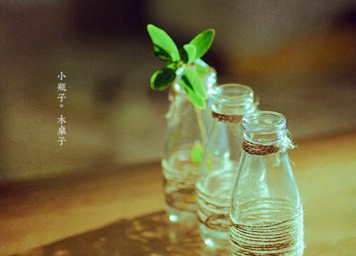 池苒李晓小说 池苒李晓全文免费阅读